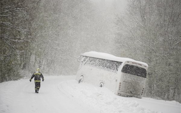 Jelentős károkat okozott az áprilisi hó és fagy a Pilisben