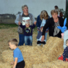 Szany II. Gólyafesztivál Tóth Tünde koncertje