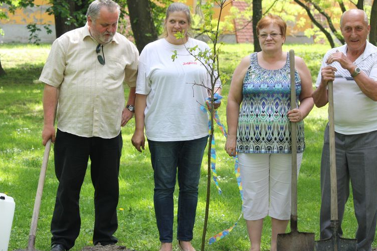 Mese a kis tölgyfáról