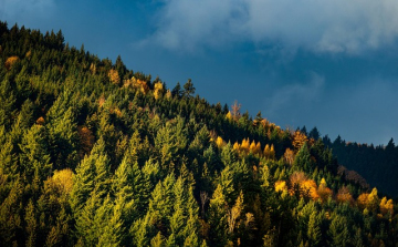 Az USA távozása után Európa volt a klímakonferencia főszereplője