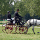 Árpási Fogathajtó Verseny