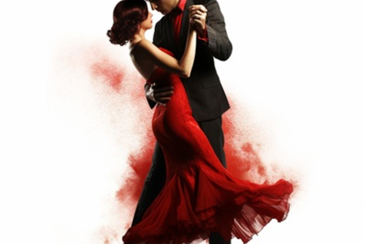 Jótékonysági bál Győrsövényházán