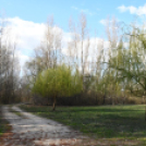 A Szanyi Horgásztó