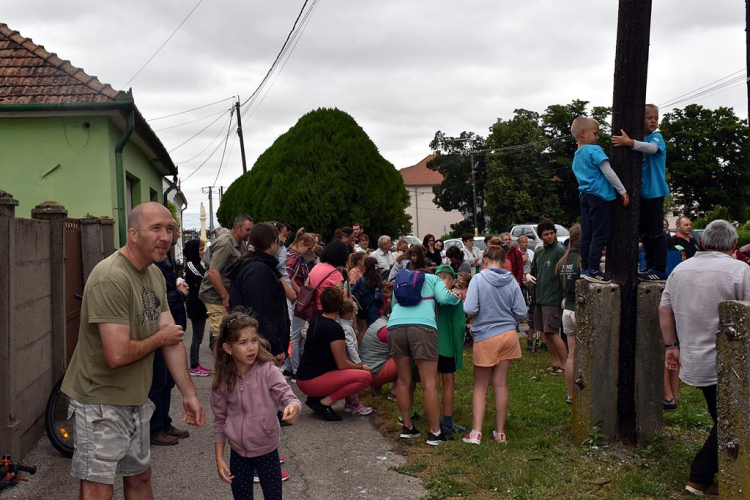 A megszületett kis gólyák látványgyűrűzése Szanyban. 