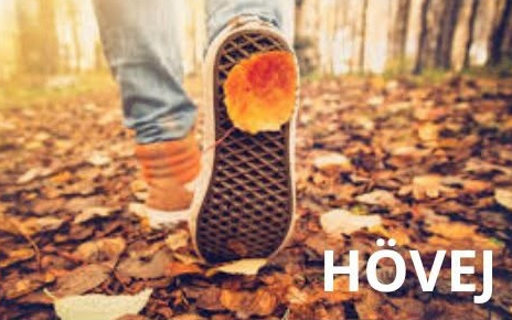 Berek-kergető túra és Föld napi pályázat Hövejen