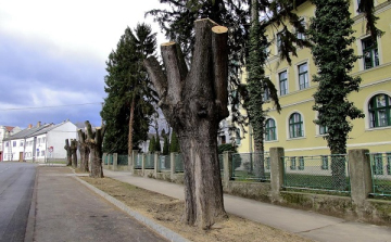 Felújítási munkák természetbarát módon