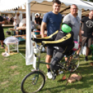 Falunap Vág Községben. (2025. 09. 13.)