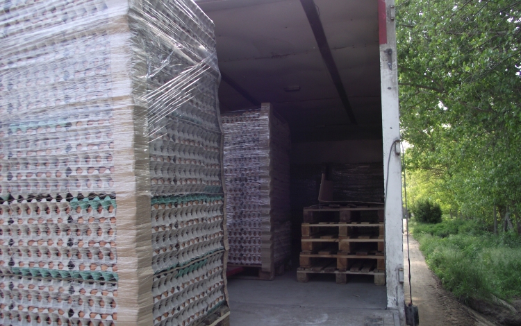 Öt tonna tojás érkezett EKÁER szám nélkül Szlovákiából