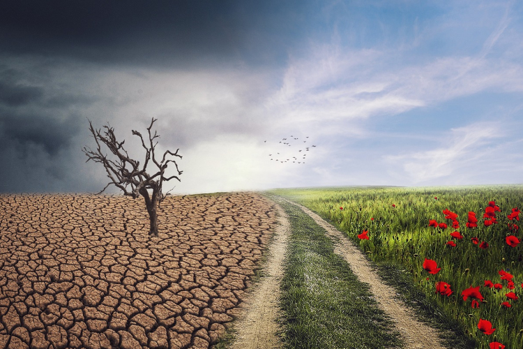 Top 5 fenntarthatósági trend 2026-ban – új korszak kezdődhet