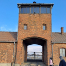 Krakkó-Auschwitz utazás a Hunyadival