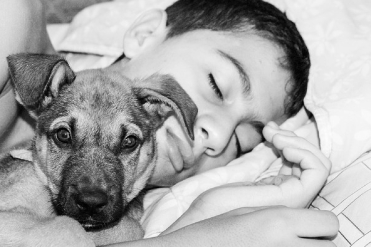 Szülők iskolája Kapuváron