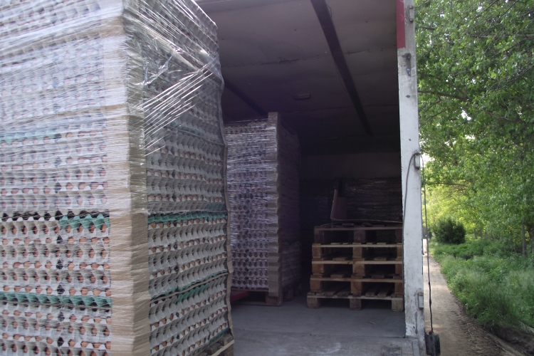 Öt tonna tojás érkezett EKÁER szám nélkül Szlovákiából