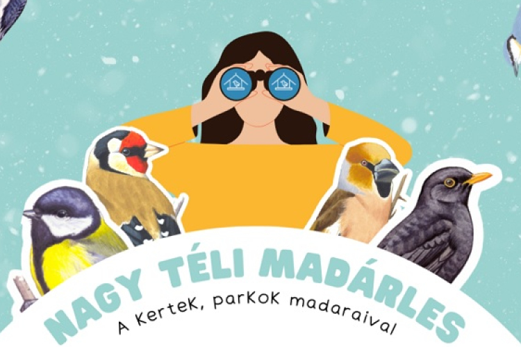 Nagy téli madárles