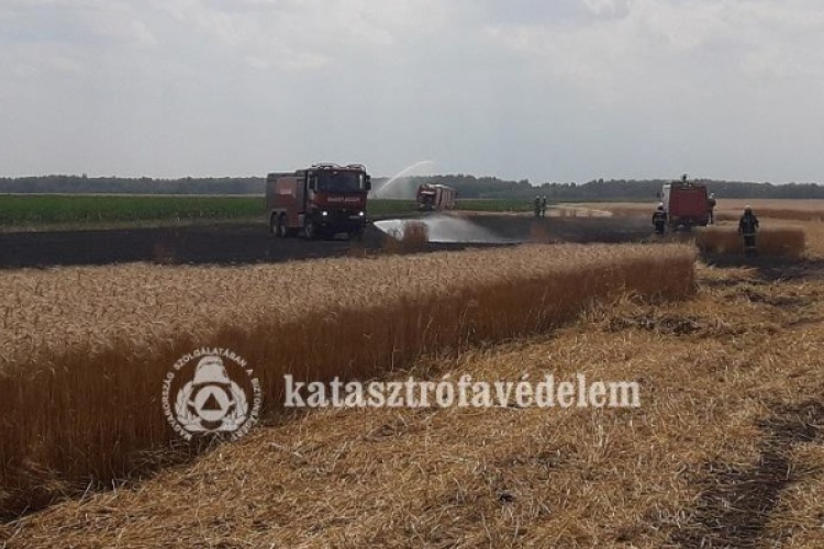 Gazdafórumot tartanak a szili önkéntes tűzoltók az aratás tűzvédelmi szabályairól