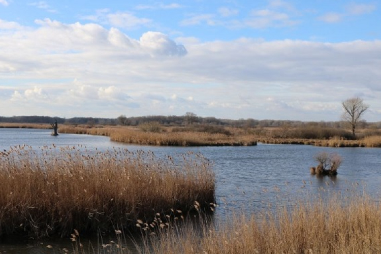 Őszi-téli vezetett túrák a Fertő-Hanság Nemzeti Parkban