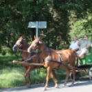 Falunap Földszigeten