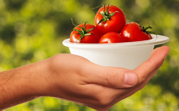 Konyhai maradékmentő ötletek