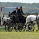 Árpási Fogathajtó Verseny