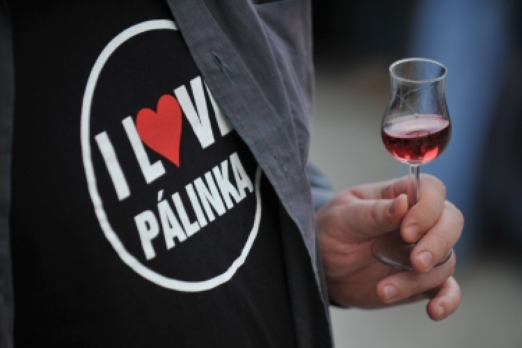 Mengyi Roland: a pálinka legyen agrár vezértermék, világmárka