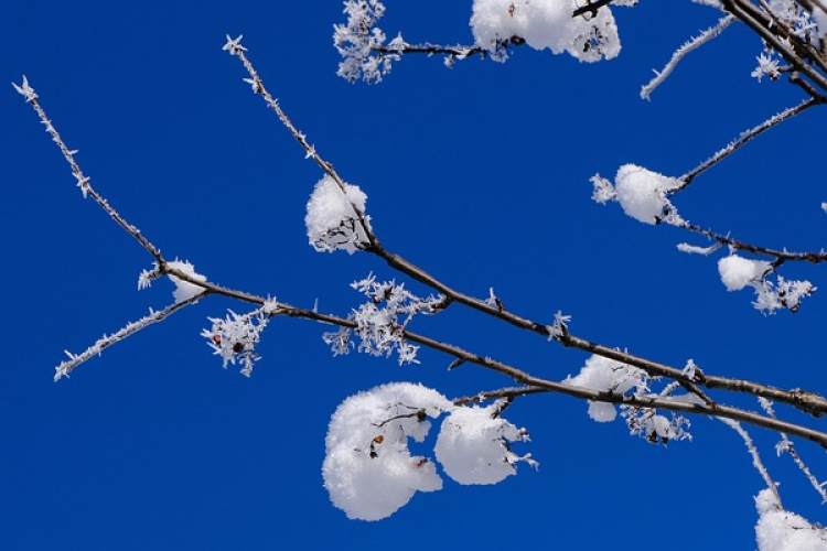 Hónapról hónapra a kertben