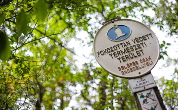 Erdővédelem Magyarországon