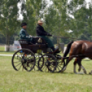 Árpási Fogathajtó Verseny