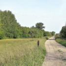 Horgászverseny Vágon