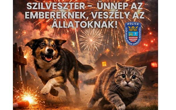 A szilveszteri tűzijátékokról és petárdázásról