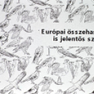 Gólyafesztivál Szanyban II. rész. (2024. 06.15.)