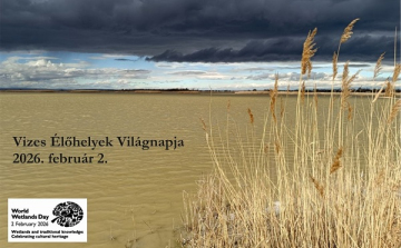 Vizes élőhelyek világnapja