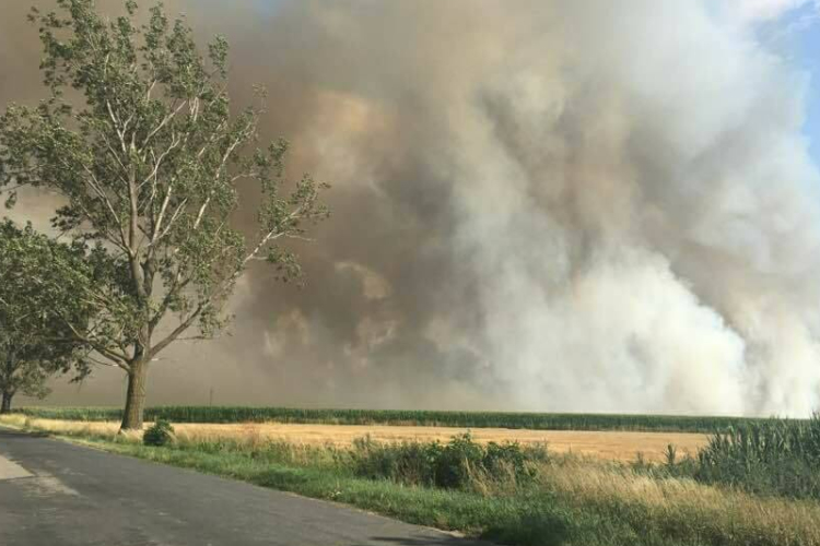 Száz hektáron lángol a gabona Szilnál
