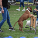 Falunap Vág Községben. (2025. 09. 13.)
