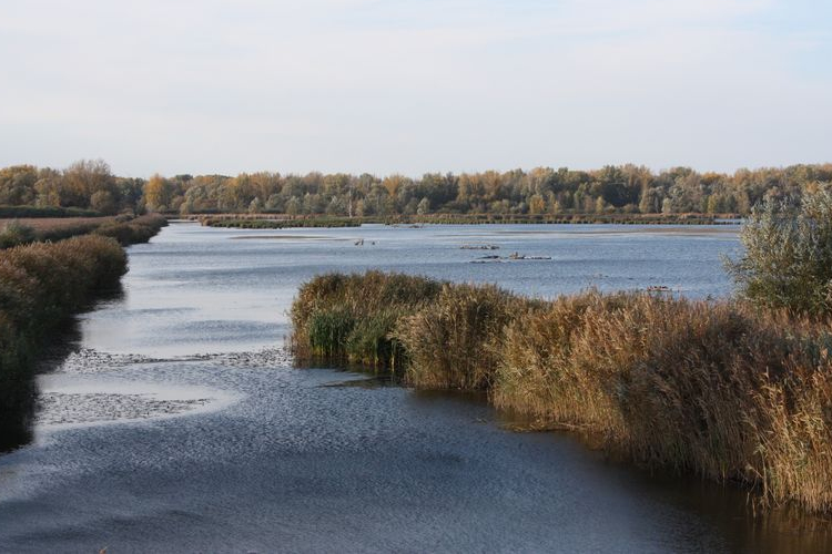 A Fertő-Hanság Nemzeti Park kiadványsorozata a védett területek látogatóinak