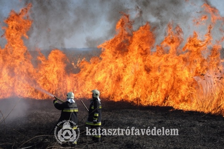 Tűzgyújtási tilalmat rendeltek el Győr-Moson-Sopron megyében is