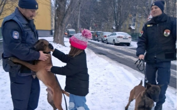 A hidegben fokozott felelősséggel tartozunk állatainkért