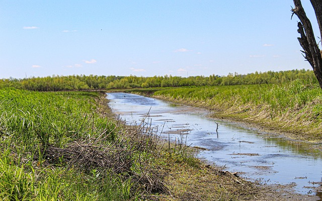 Bárki segíthet feltérképezni kiszáradó vizeinket 