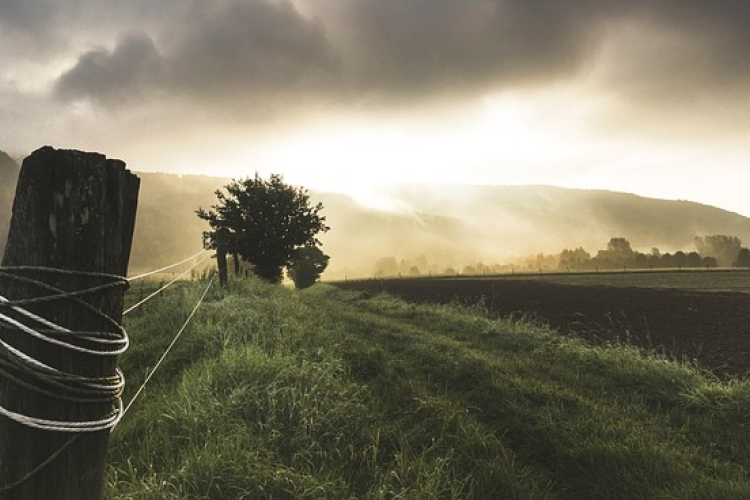 Vidékfejlesztési pályázati lehetőségek