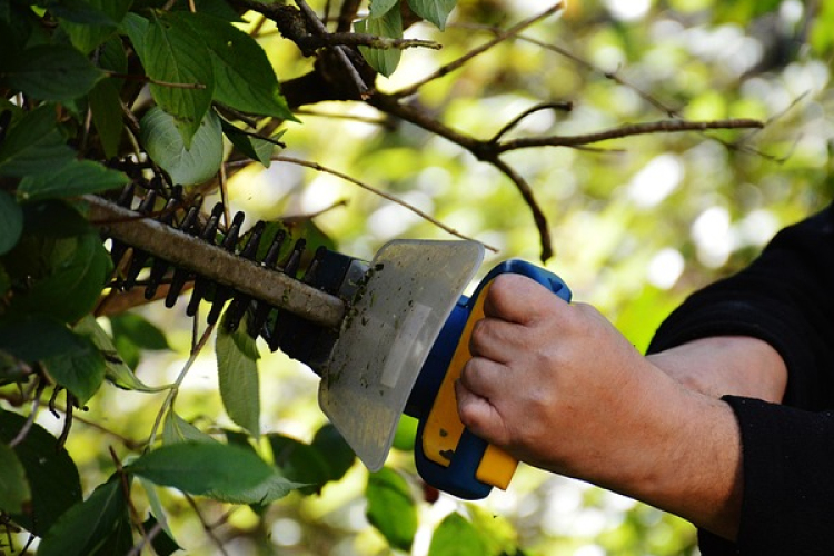 Zöldhulladék elhelyezés Osliban