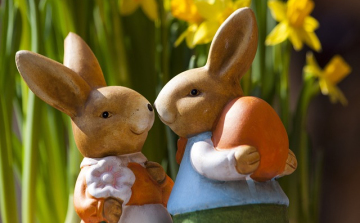 Az élő nyúl nem játék