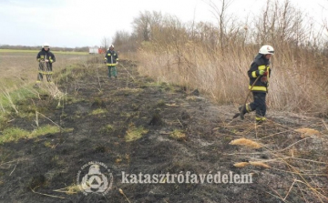 Idén már hatvannyolc szabadtéri tűz volt Győr-Moson-Sopron megyében