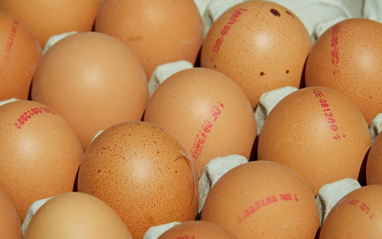 A kereskedők támogatását kérik a magyar tojástermelők