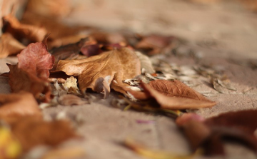 Égessünk, vagy ne égessünk?