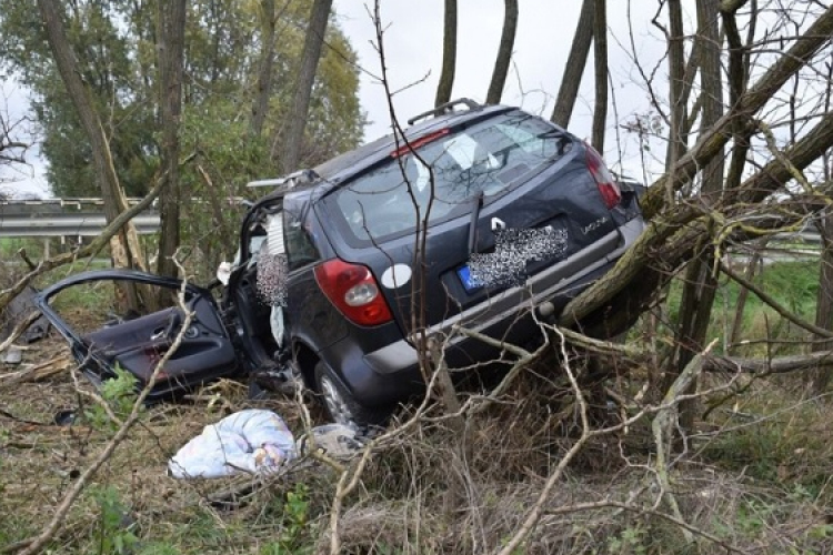 A tetején átpördülve egy akácosba csapódott az autó