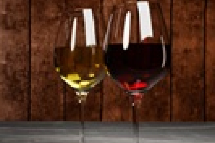 XIII. Bágyogszováti Borverseny