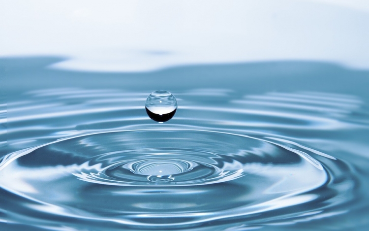 A víz három drámája is a Víz-világtalálkozón Budapesten