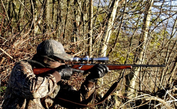 Erdőlátogatási korlátozás vadászat miatt