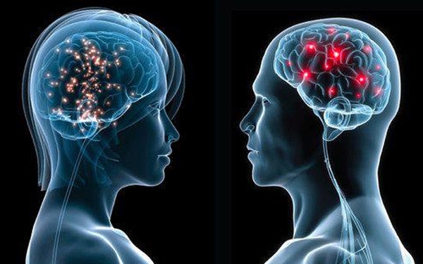 Újabb bizonyítékot találtak arra, hogy nem különbözik a férfi és a női agy