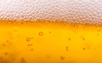 Környezetbarát módszerrel fogja előállítani söreit a világ legnagyobb sörgyártója
