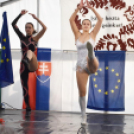 Falunap Vág Községben. (2025. 09. 13.)