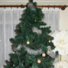 Évzáró a Bokrétában